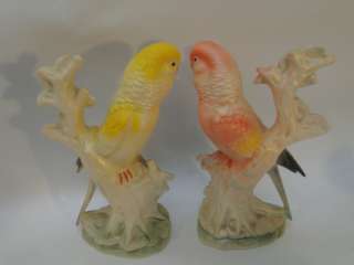 VINTAGE 1950 CHALKWARE PARAKEET FIGURINES~BUDGIES LOVE BIRDS FIGURES 