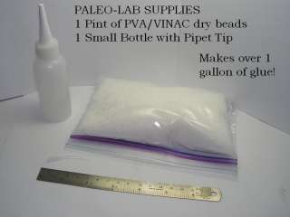 visit that area of our store paleo lab field supplies