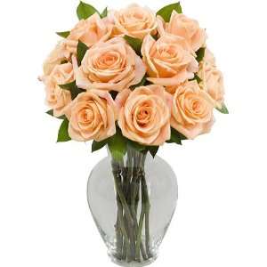 One Dozen Long Stem Peach Roses with Jordan Vase  Grocery 