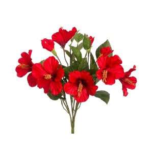  14 Hibiscus Bush x6 w/Bud Red (Pack of 12)