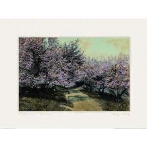  Disappearing Blossom Poster Print