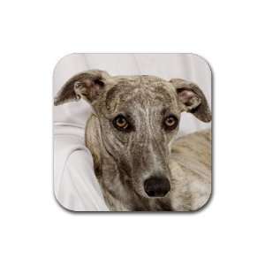  Whippet 7 Rubber Coaster (4 pack) DD0648 