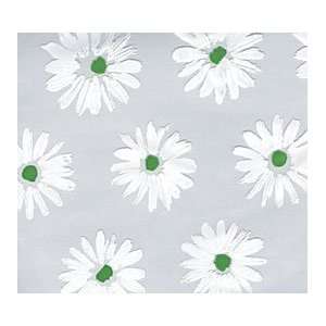   up Daisies (24w X 100l) Cellophane Roll