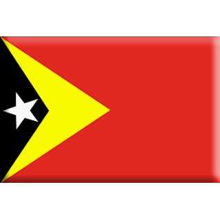 3 x 5 FT   EAST TIMOR FLAG   INDOOR PARADE   GOLD FRINGE 
