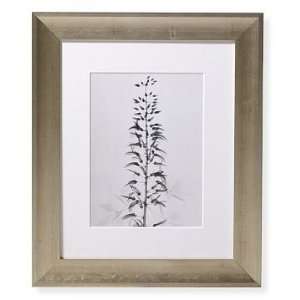   Home x Ray Prints By Dr. Dain Tasker, Wisteria