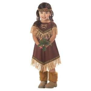    Toddler Indian Princess Costume Size (3 4T) 
