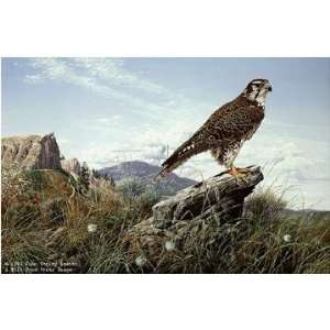  John Seerey Lester   Plains Hunter Prairie Falcon