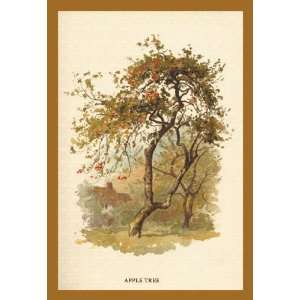 Apple Tree 20x30 poster