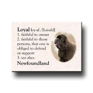  Newfoundland Dictionary Loyal Fridge Magnet No 1 