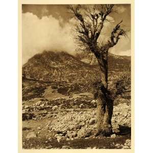  1928 Mount Parnassus Greece Mountain Greek Landscape 