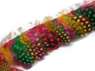 F319 PER FEET Rainbow Guinea Hen Hackle feather fringe Trim Fascinator 