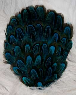 DEEP TURQUOISE ALMOND PHEASANT FEATHERS PAD  LOW SHIP   
