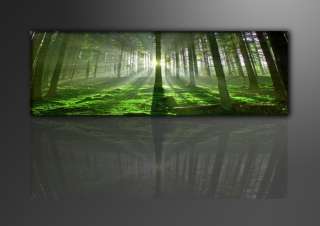 Leinwandbilder modern Wald 120cm XXL 1 5706+  