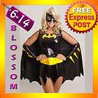   Super Hero Woman Fancy Dress Costume Superhero Outfit Cape, Bat Mask