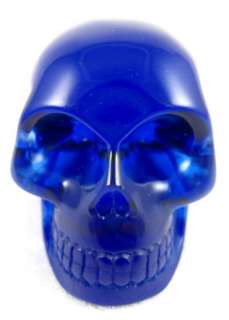 You will receive a skull similar to the one in the photos.