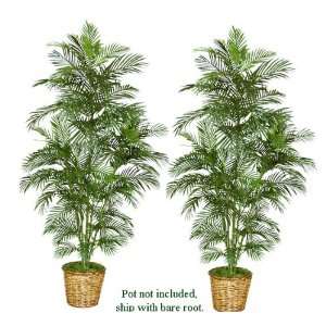  TWO 7 Artificial Areca Palm Trees, with No Pot,
