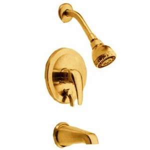 com Danze 500013 BP Polished Brass Single Handle Tub & Shower Faucet 