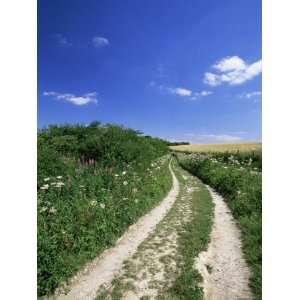  Curved Path Through Countryside, Old Winchester Hill 