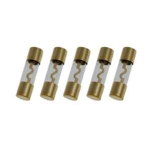  Absolute AGU100 5 Pack AGC Gold Standard Glass Fuses 100 