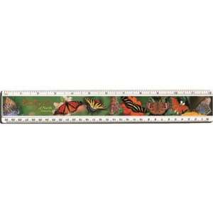 New Impact Photographics Plastic Ruler Butterflies The Added Value Of 