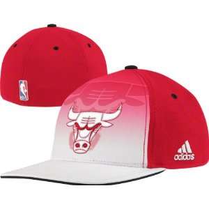  adidas Chicago Bulls Red White 2011 Official Draft Day 