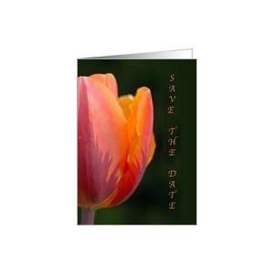 Anniversary Invitation Pink Tulip Card