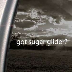  Got Sugar Glider? Decal Animal House Pet Car Sticker 