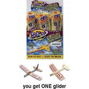  Sky Riders Balsa Wood Glider Air Plane Toys & Games