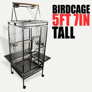   Bird Cockatiel Parakeet Finch Cage Playtop Gym Perch Stand  