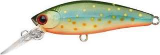 LUCKY CRAFT Bevy Shad 55 ~Tango~ Brook Trout  