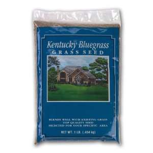  X SEED, INC 1 Lb Kentucky Bluegrass Grass Seed Patio 