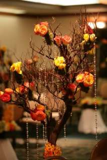 Manzanita branches can be use to create beautiful centerpieces for 