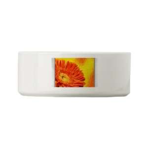  Dog Cat Food Water Bowl Daisy Orange Gerbera Everything 