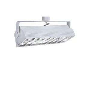   White H Series Compact Fluorescent Wall Washer 2X27W