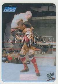 WWE Lamincards Collection 2006 Cards   German Edition   Very Rare 