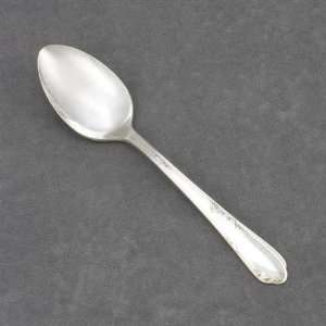  Meadowbrook by William A. Rogers, Silverplate Teaspoon 