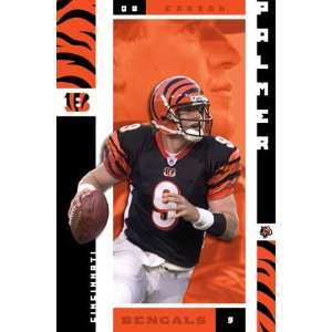 Carson Palmer NFL Bengals   Wall Poster   22x34 inches