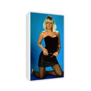 Lisa Maxwell   Canvas   Medium   30x45cm