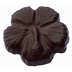 Michelle Chocolatier Solid Belgian Dark Chocolate Hibiscus
