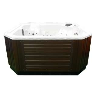   Brand Spa Hot Tub Jacuzzi 110/220V  2 Pumps and 35 Jets  