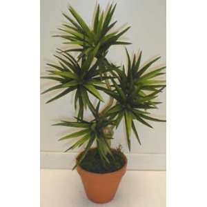  NEW Bendable Yucca Plant (green)