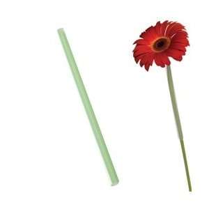 Flower Gerbera Straw (Pack of 250)