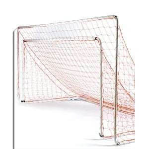  Brine 5 x 10 Goal and Net