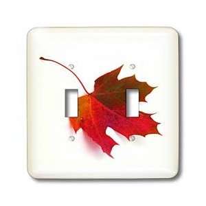  Yves Creations Colorful Leaves   Rusty Maple Leaf   Light 