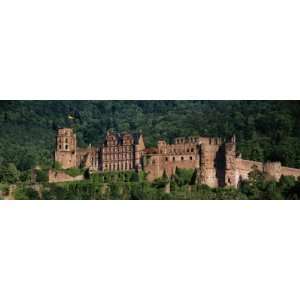  Castle on a Hillside, Heidelberg, Baden Wurttemberg 