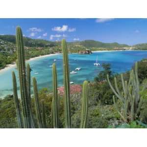  Cactus Plants and Bay of St. Jean, St. Barthelemy, Caribbean, West 