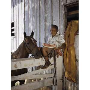  Stableboy Eats Watermelon While Holding the Reins of a Horse 