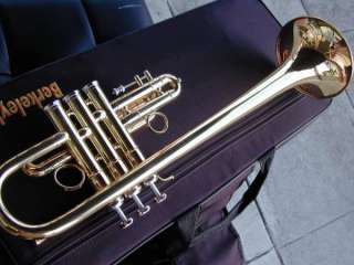 Beautiful Berkeley 1Pece bell Eb&D Trumpet Piccolo Horn  