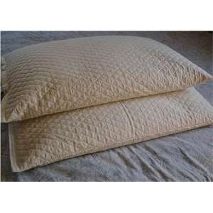    Handmade Buckwheat Hull Pillows Std. 20 x 26 