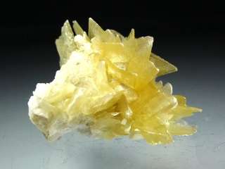 Yellow Star Muscovite Crystal Cluster #19  